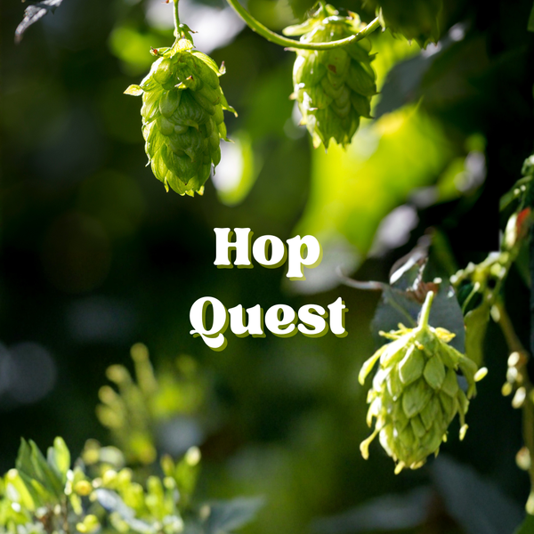 Hop Quest